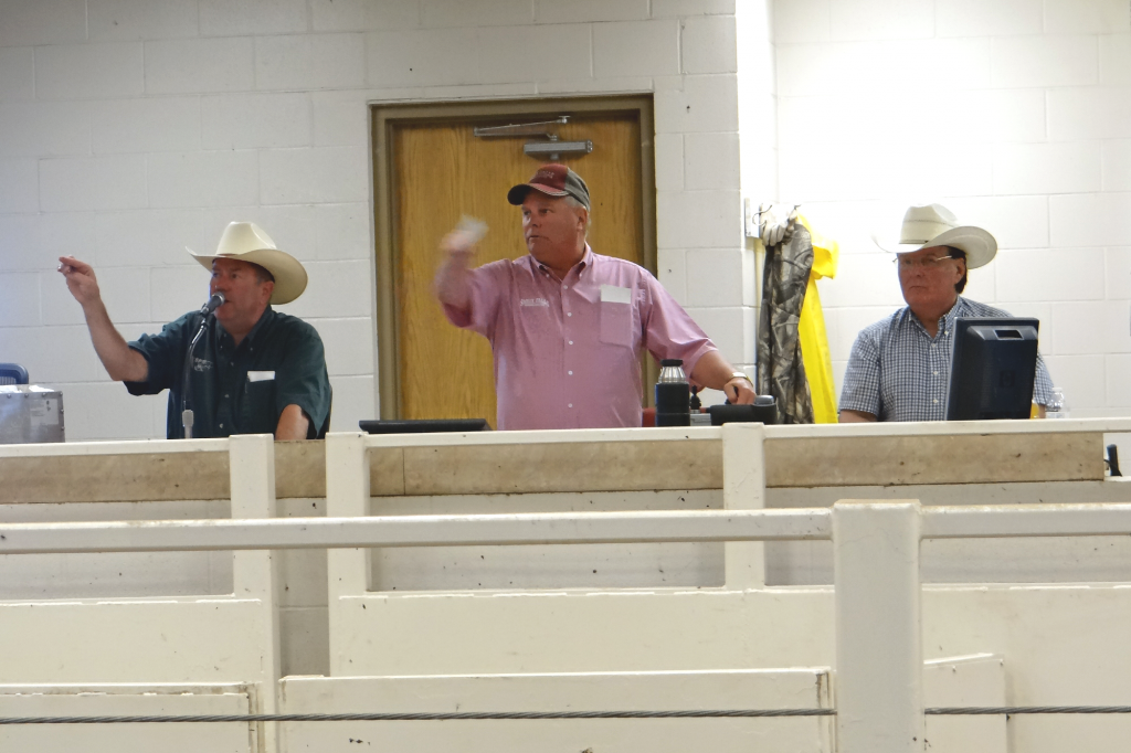 dsc04832 Sioux Falls Regional Livestock