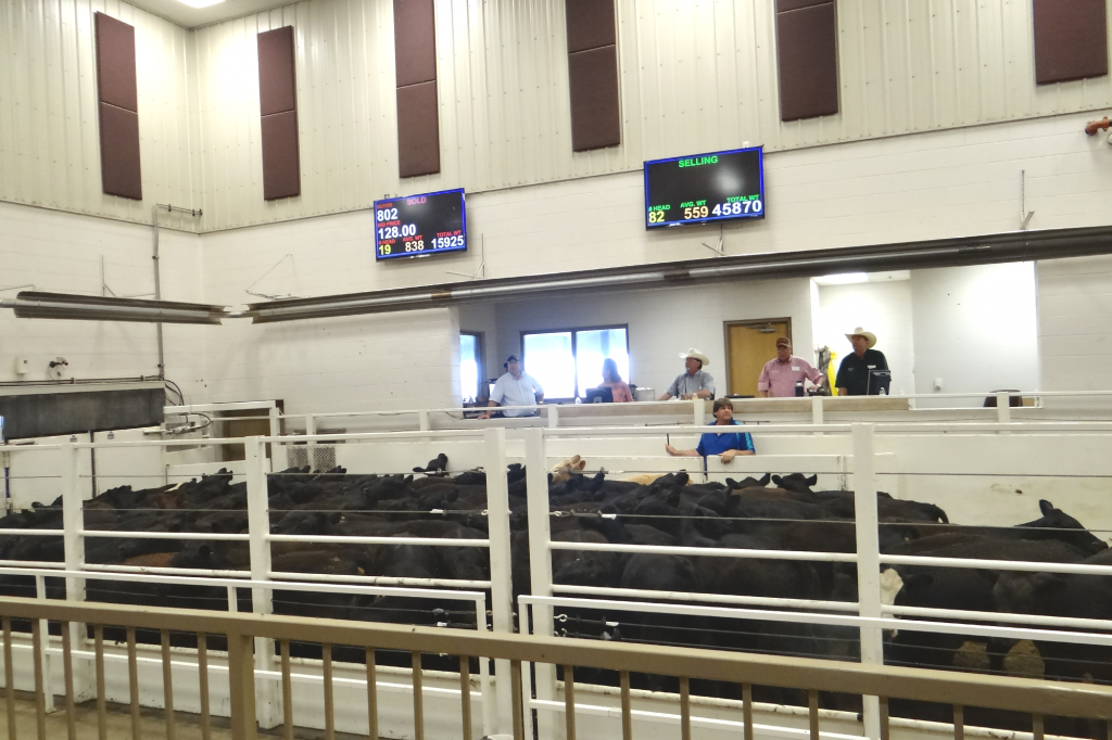 dsc04853 Sioux Falls Regional Livestock